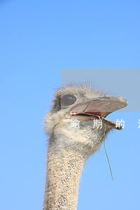 逾期的法律责任 逾期的法律责任