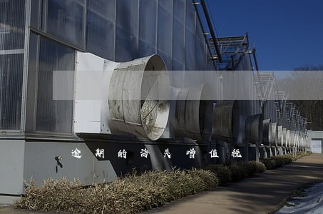 逾期的海关增值税 逾期的海关增值税