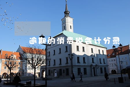 逾期的消费税会计分录