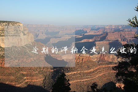 逾期的滞纳金是怎么收的 逾期的滞纳金是怎么收的