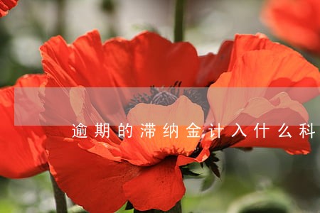 逾期的滞纳金计入什么科目 逾期的滞纳金计入什么科目