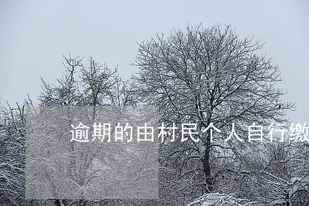 逾期的由村民个人自行缴费 逾期的由村民个人自行缴费