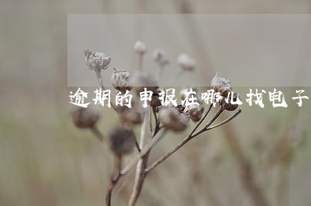 逾期的申报在哪儿找电子税务 逾期的申报在哪儿找电子税务