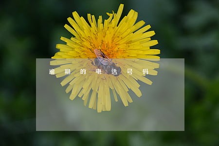 逾期的电话号码 逾期的电话号码
