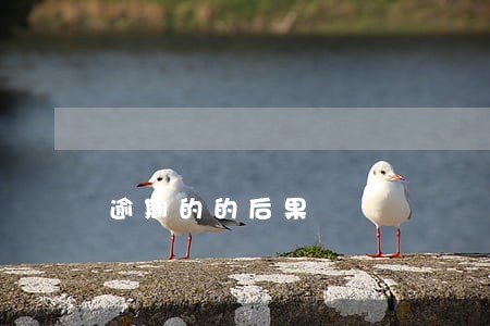 逾期的的后果 逾期的的后果