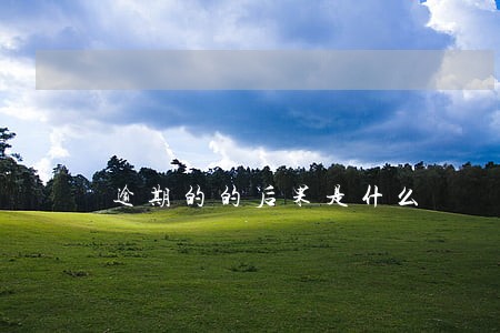 逾期的的后果是什么 逾期的的后果是什么