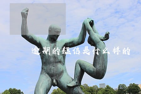 逾期的短信是什么样的 逾期的短信是什么样的