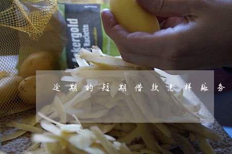 逾期的短期借款怎样账务处理