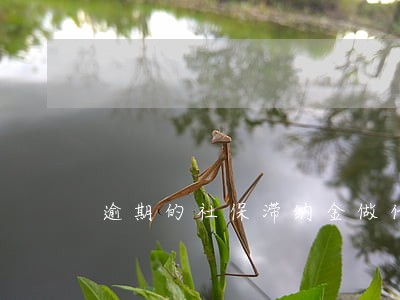 逾期的社保滞纳金做什么科目 逾期的社保滞纳金做什么科目