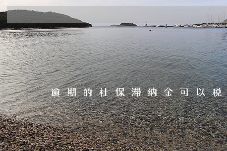 逾期的社保滞纳金可以税前列支吗 逾期的社保滞纳金可以税前列支吗