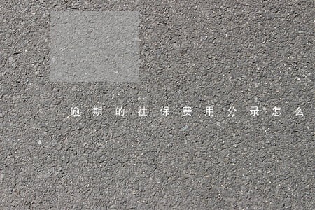逾期的社保费用分录怎么做 逾期的社保费用分录怎么做