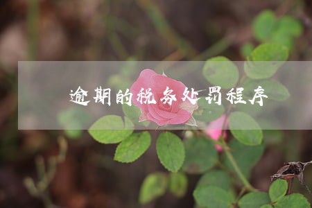 逾期的税务处罚程序