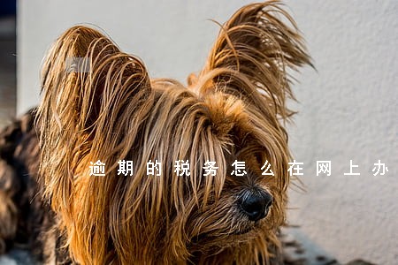 逾期的税务怎么在网上办理