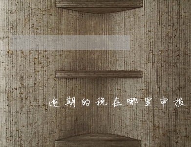 逾期的税在哪里申报 逾期的税在哪里申报
