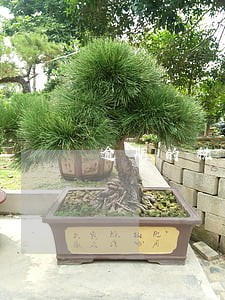 逾期的税款不能入库吗