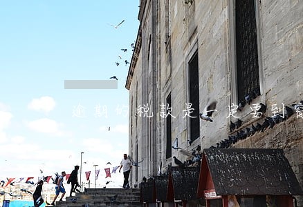 逾期的税款是一定要到窗口付款吗 逾期的税款是一定要到窗口付款吗