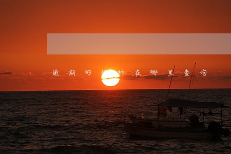 逾期的税种在哪里查询 逾期的税种在哪里查询