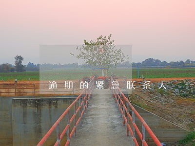 逾期的紧急联系人 逾期的紧急联系人