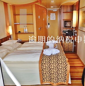 逾期的纳税申报表 逾期的纳税申报表