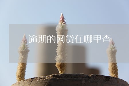 逾期的网贷在哪里查 逾期的网贷在哪里查
