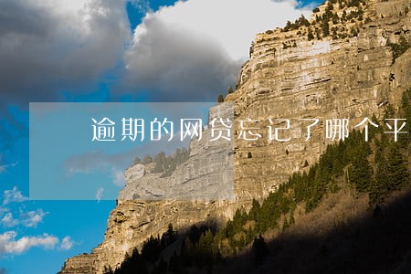 逾期的网贷忘记了哪个平台 逾期的网贷忘记了哪个平台