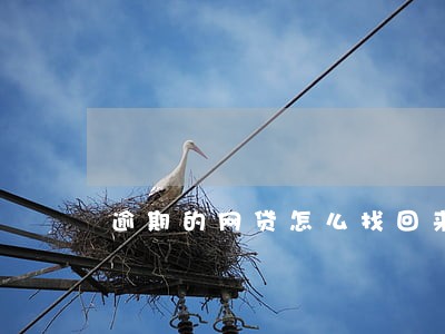 逾期的网贷怎么找回来 逾期的网贷怎么找回来