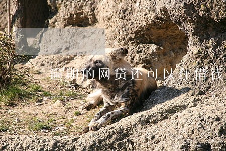 逾期的网贷还可以在借钱出来么