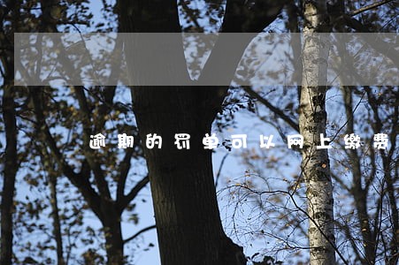 逾期的罚单可以网上缴费吗 逾期的罚单可以网上缴费吗