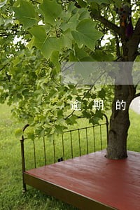 逾期的罚息怎么规定 逾期的罚息怎么规定