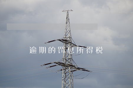 逾期的罚息所得税