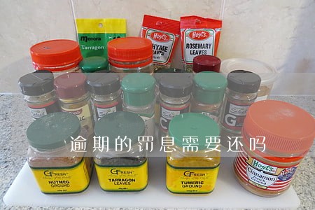 逾期的罚息需要还吗 逾期的罚息需要还吗