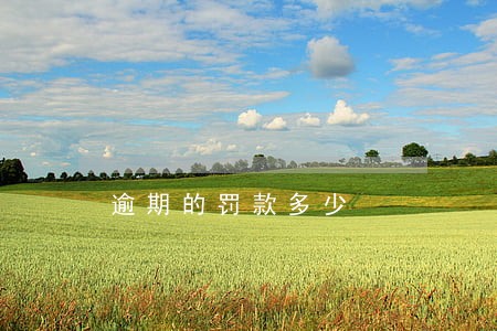 逾期的罚款多少 逾期的罚款多少