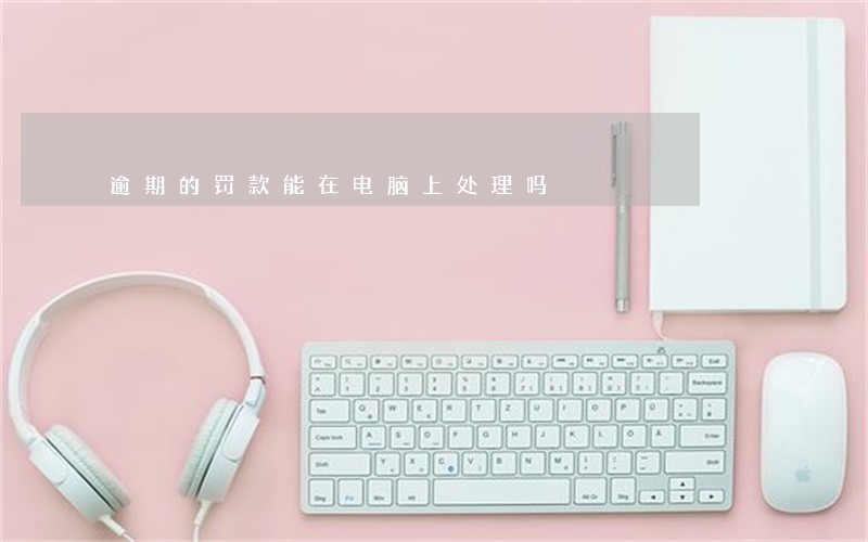 逾期的罚款能在电脑上处理吗 逾期的罚款能在电脑上处理吗