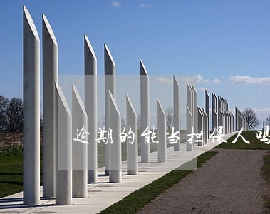 逾期的能当担保人吗 逾期的能当担保人吗