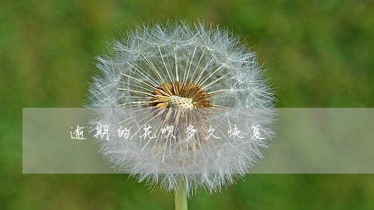 逾期的花呗多久恢复 逾期的花呗多久恢复