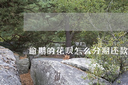 逾期的花呗怎么分期还款期限 逾期的花呗怎么分期还款期限