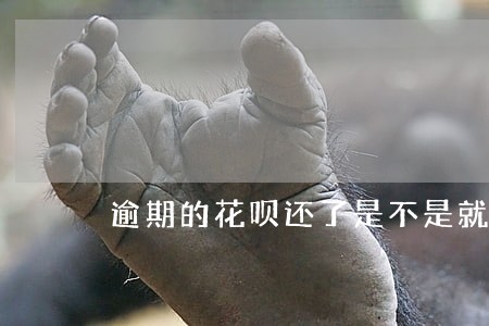 逾期的花呗还了是不是就没事了 逾期的花呗还了是不是就没事了
