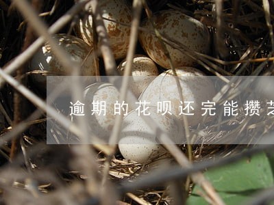 逾期的花呗还完能攒芝麻粒吗 逾期的花呗还完能攒芝麻粒吗