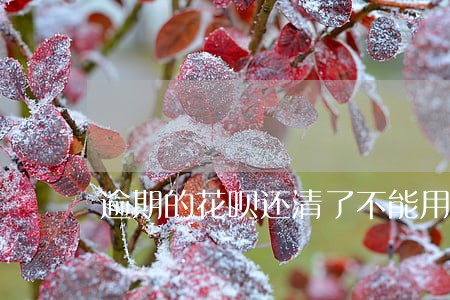 逾期的花呗还清了不能用了吗 逾期的花呗还清了不能用了吗