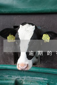 逾期的行政处罚的法律效力 逾期的行政处罚的法律效力