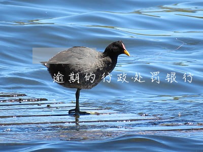 逾期的行政处罚银行 逾期的行政处罚银行