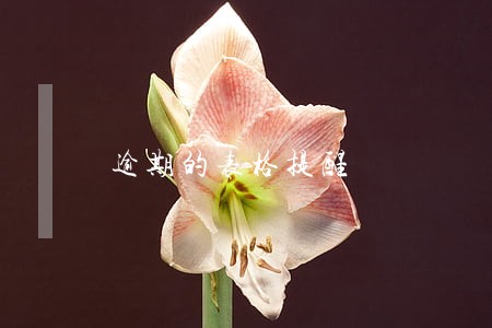 逾期的表格提醒 逾期的表格提醒