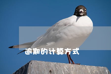 逾期的计算方式 逾期的计算方式