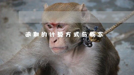 逾期的计算方式与概念 逾期的计算方式与概念