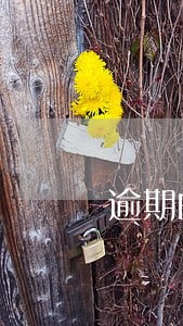 逾期的话人民银行会短信通知吗 逾期的话人民银行会短信通知吗