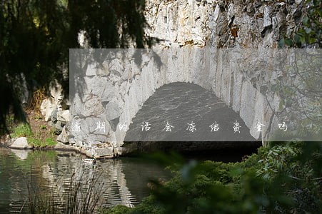 逾期的话会冻结资金吗 逾期的话会冻结资金吗