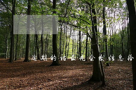 逾期的话最先会发信息给哪个 逾期的话最先会发信息给哪个