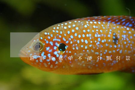 逾期的账单不能分期付款吗 逾期的账单不能分期付款吗