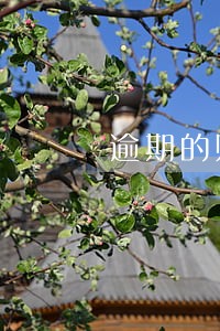 逾期的账单图片 逾期的账单图片