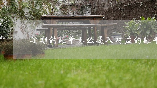 逾期的账单怎么还入对应的账单 逾期的账单怎么还入对应的账单